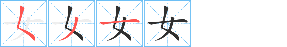 女笔顺分步演示