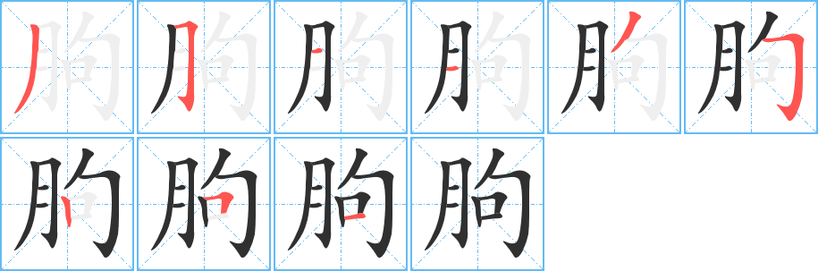 朐笔顺分步演示