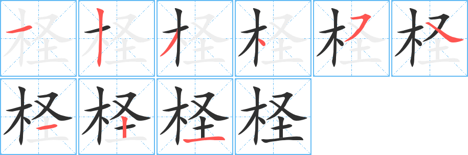 柽笔顺分步演示