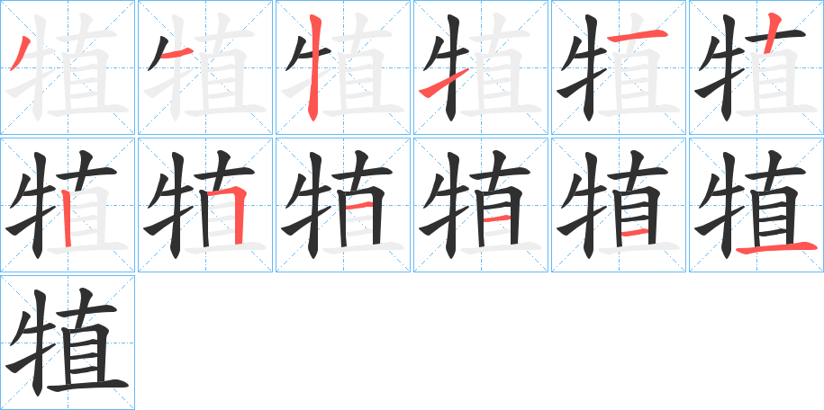 犆笔顺分步演示