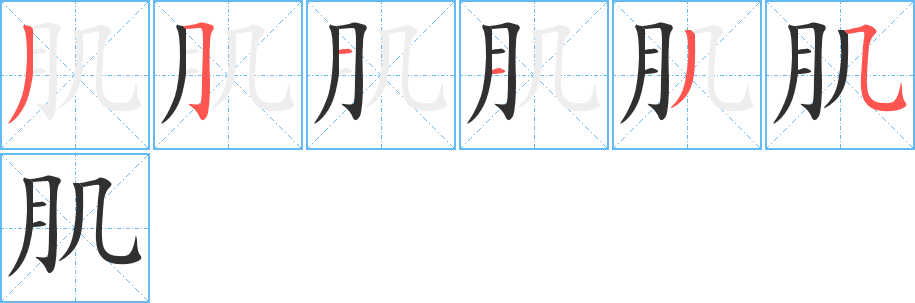 肌笔顺分步演示