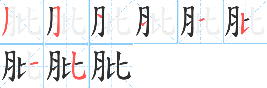 肶笔顺分步演示