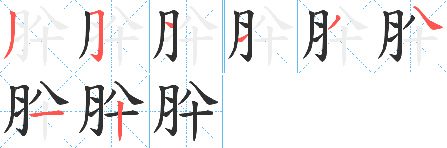 肸笔顺分步演示