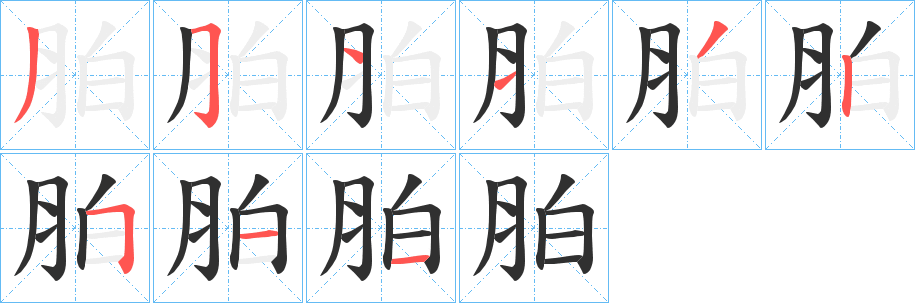 胉笔顺分步演示