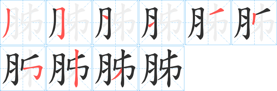胏笔顺分步演示