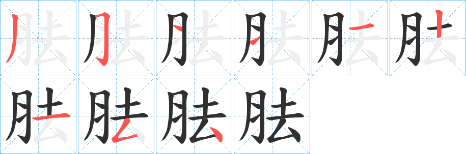 胠笔顺分步演示