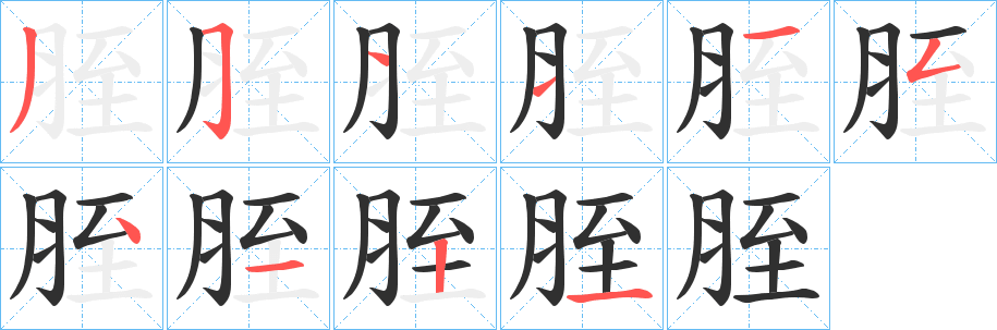 胵笔顺分步演示