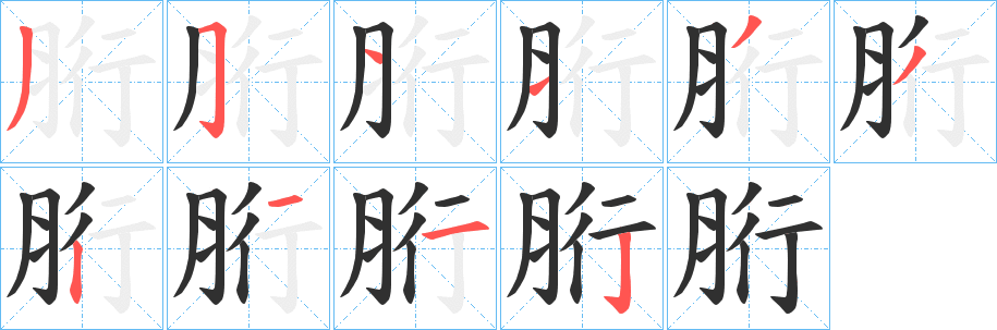 胻笔顺分步演示