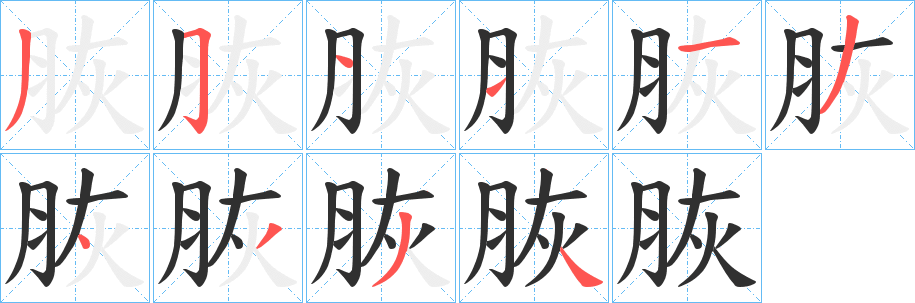脄笔顺分步演示