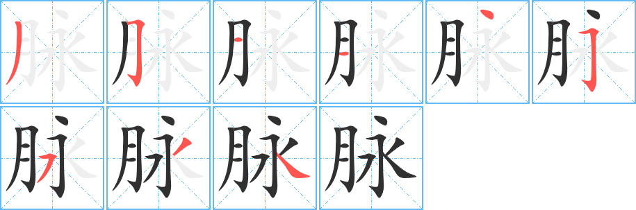 脉笔顺分步演示