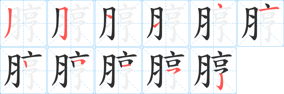 脝笔顺分步演示