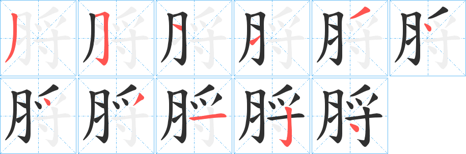 脟笔顺分步演示