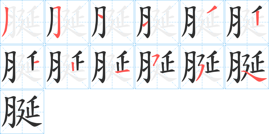 脠笔顺分步演示