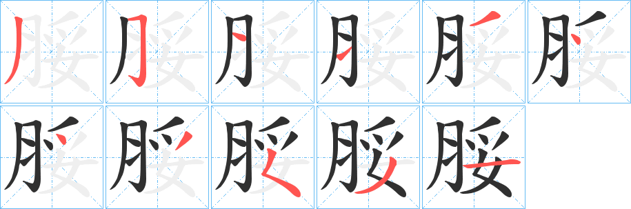 脮笔顺分步演示