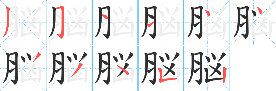 脳笔顺分步演示