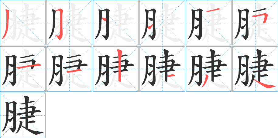 脻笔顺分步演示