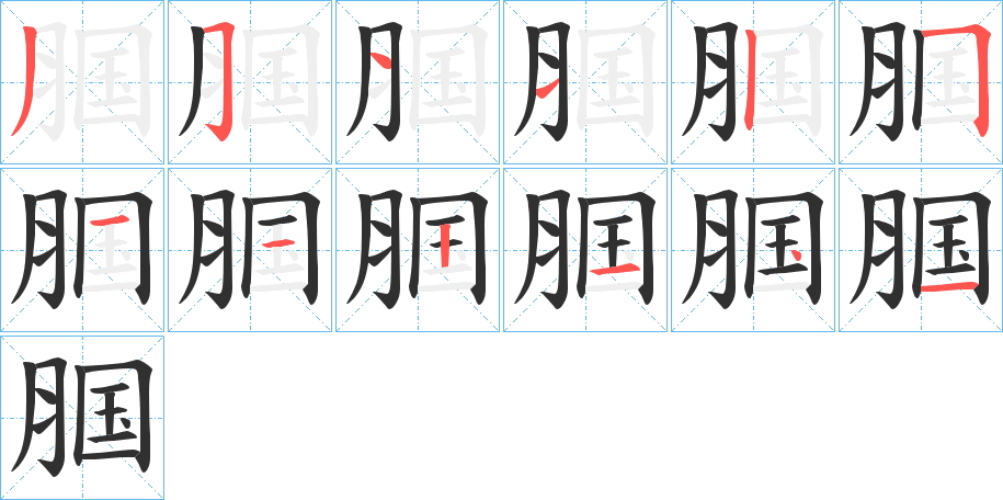 腘笔顺分步演示