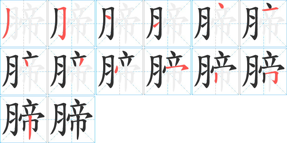 腣笔顺分步演示