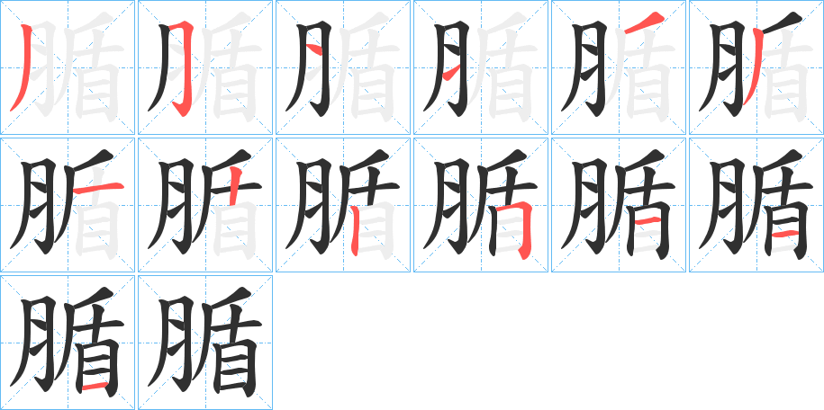 腯笔顺分步演示