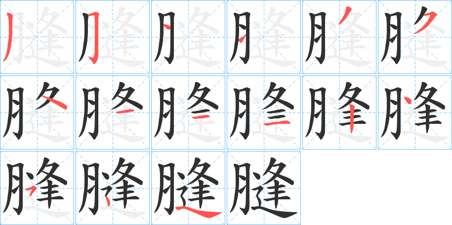 膖笔顺分步演示