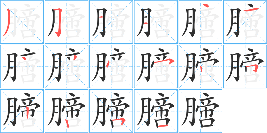 膪笔顺分步演示