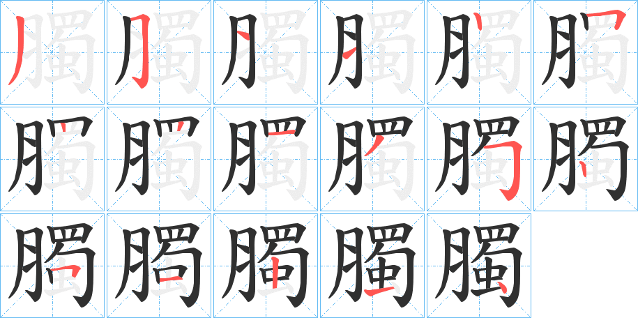 臅笔顺分步演示