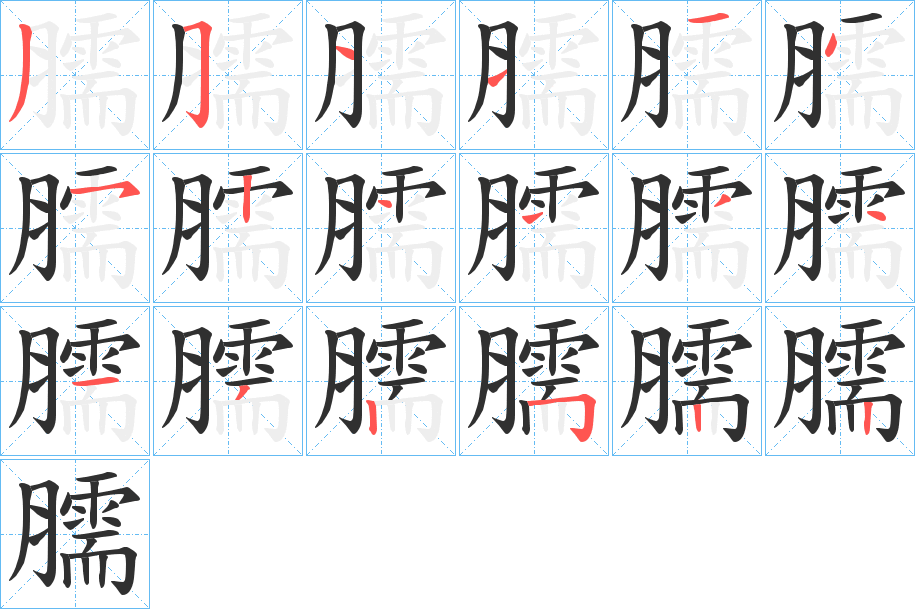 臑笔顺分步演示