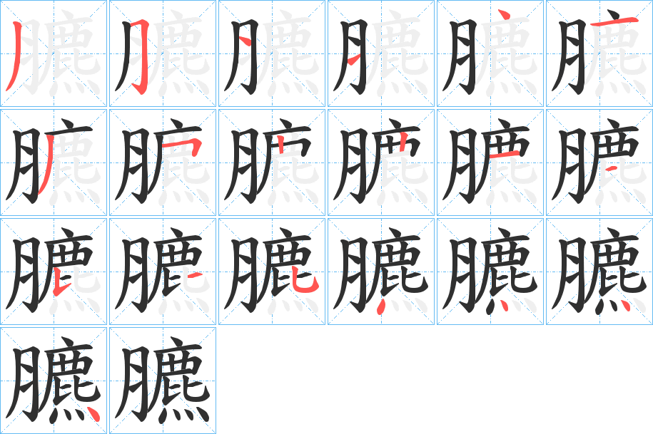 臕笔顺分步演示