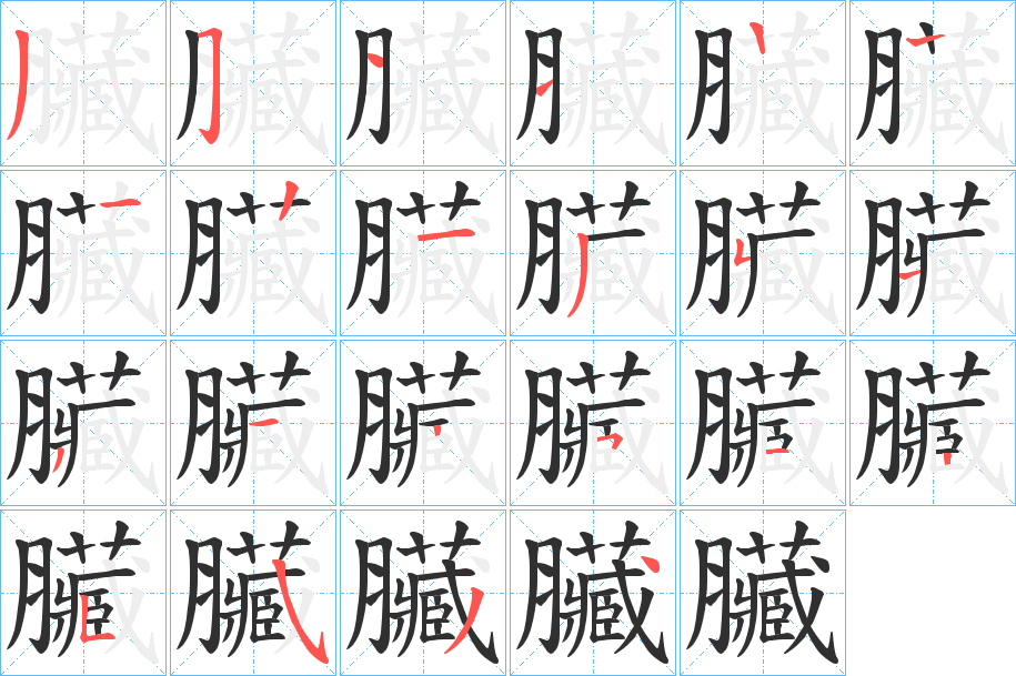 臟笔顺分步演示