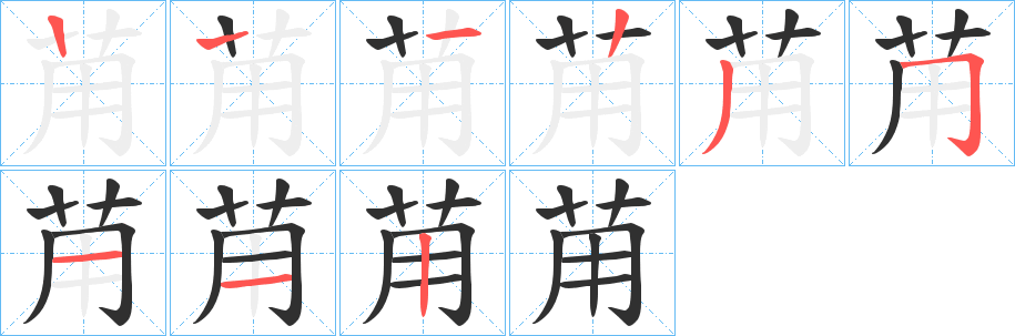 苚笔顺分步演示