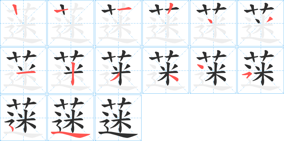 蒾笔顺分步演示
