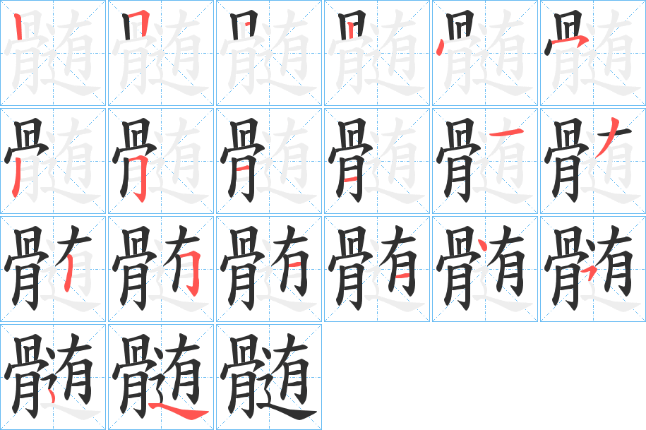 髄笔顺分步演示
