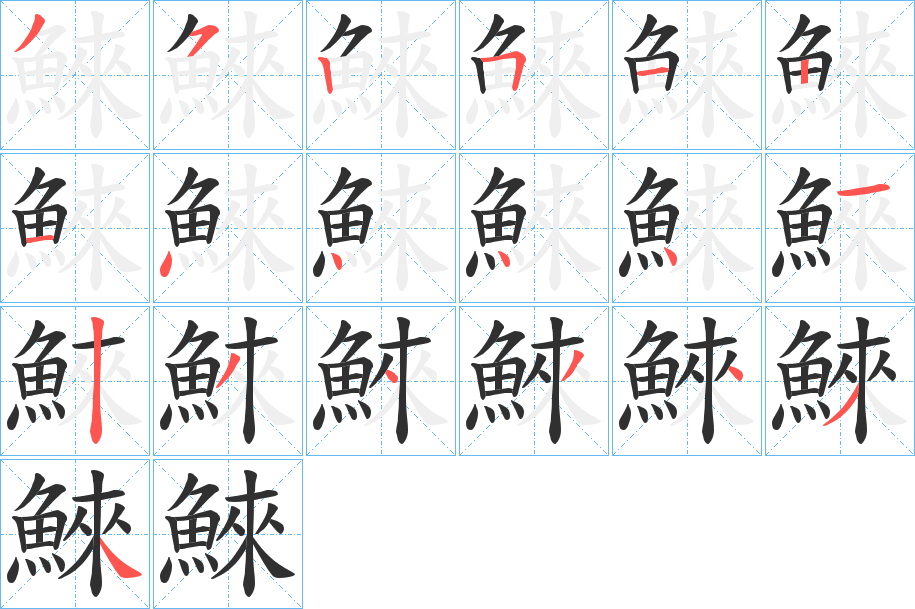 鯠笔顺分步演示