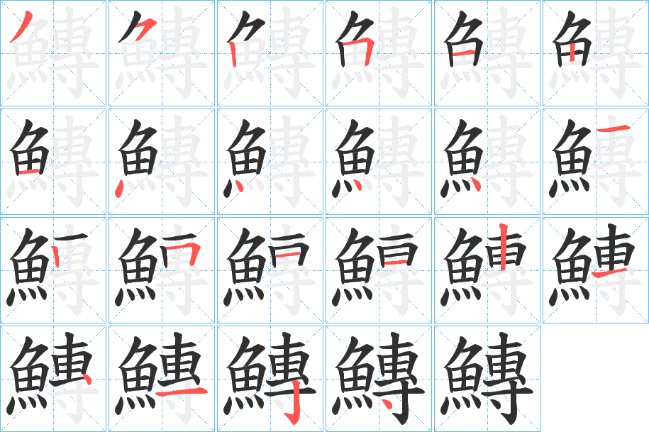 鱄笔顺分步演示