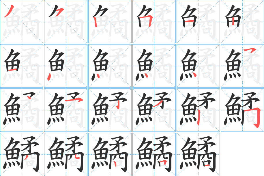 鱊笔顺分步演示