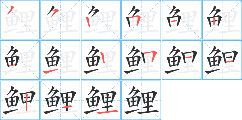 鲤笔顺分步演示