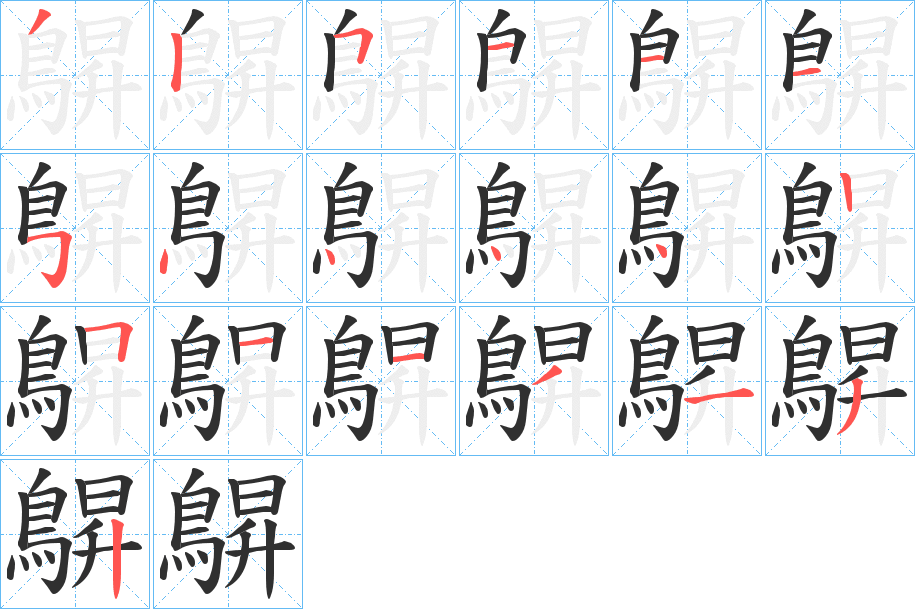 鵿笔顺分步演示