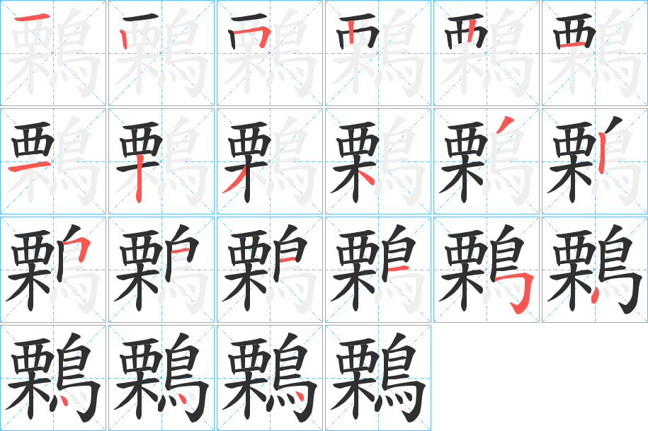 鷅笔顺分步演示
