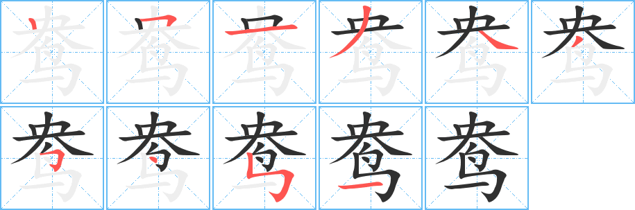 鸯笔顺分步演示